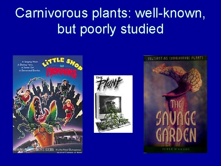 Carnivorous plants: well-known, but poorly studied 