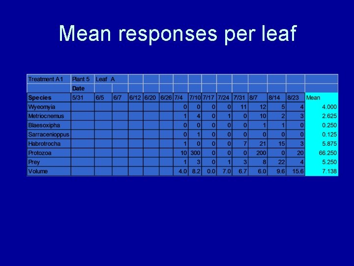 Mean responses per leaf 