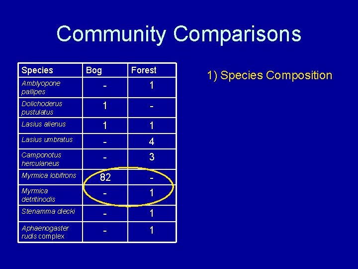 Community Comparisons Species Bog Forest Amblyopone pallipes - 1 Dolichoderus pustulatus 1 - Lasius