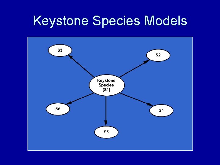 Keystone Species Models 