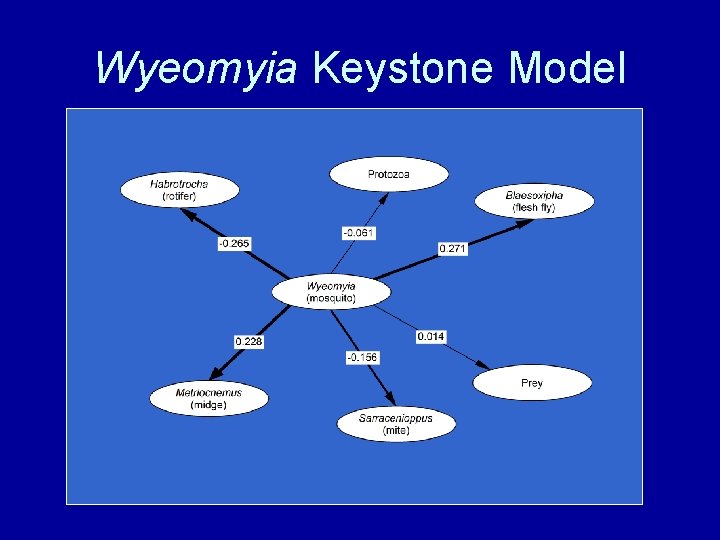 Wyeomyia Keystone Model 