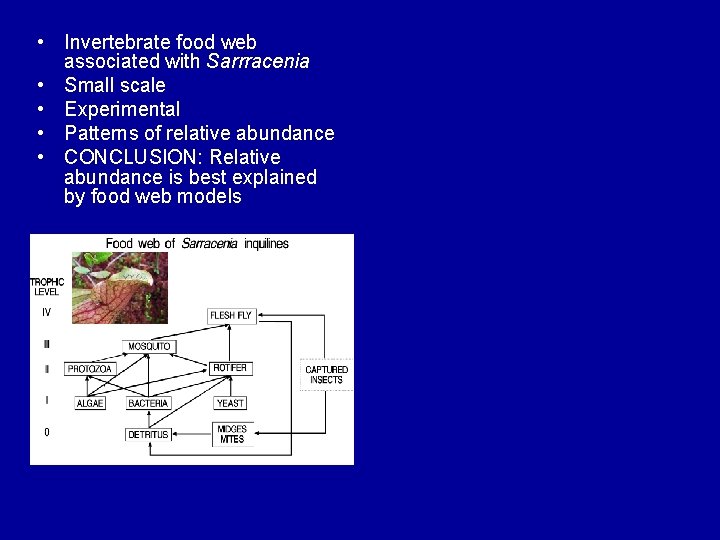  • Invertebrate food web associated with Sarrracenia • Small scale • Experimental •