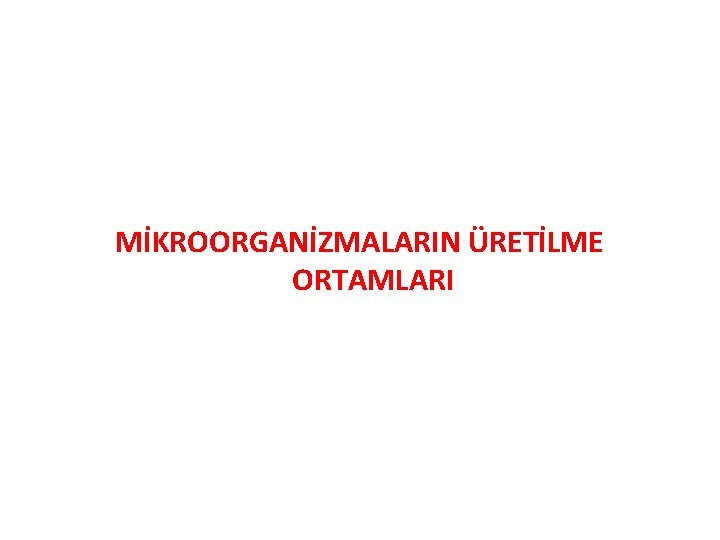 MİKROORGANİZMALARIN ÜRETİLME ORTAMLARI 