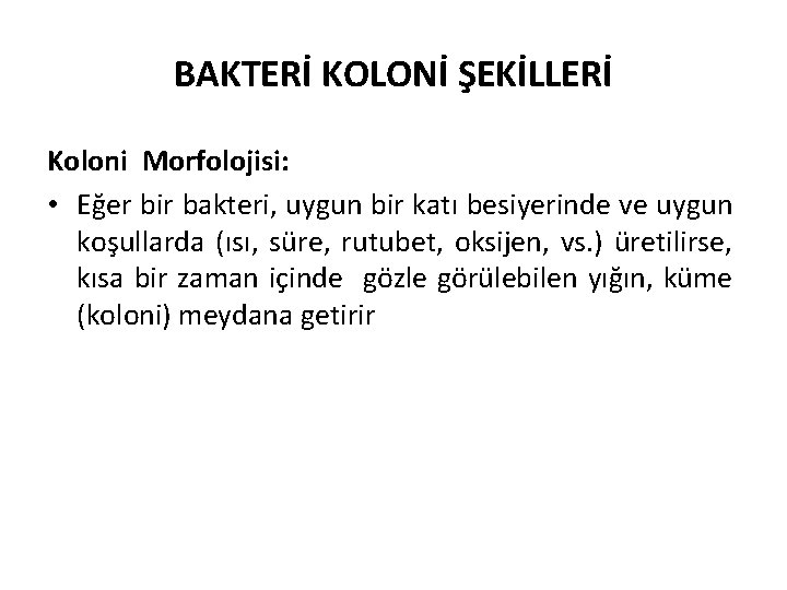 BAKTERİ KOLONİ ŞEKİLLERİ Koloni Morfolojisi: • Eğer bir bakteri, uygun bir katı besiyerinde ve