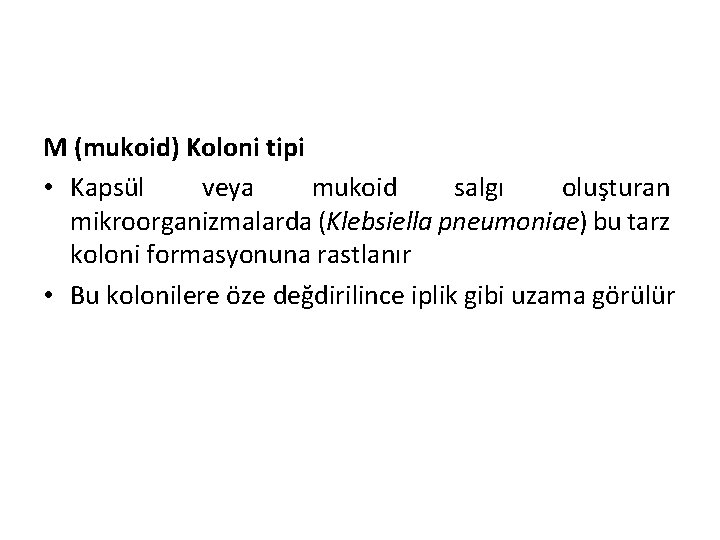 M (mukoid) Koloni tipi • Kapsül veya mukoid salgı oluşturan mikroorganizmalarda (Klebsiella pneumoniae) bu