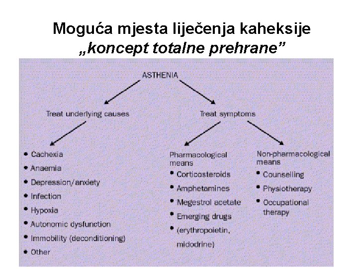 Moguća mjesta liječenja kaheksije „koncept totalne prehrane” 