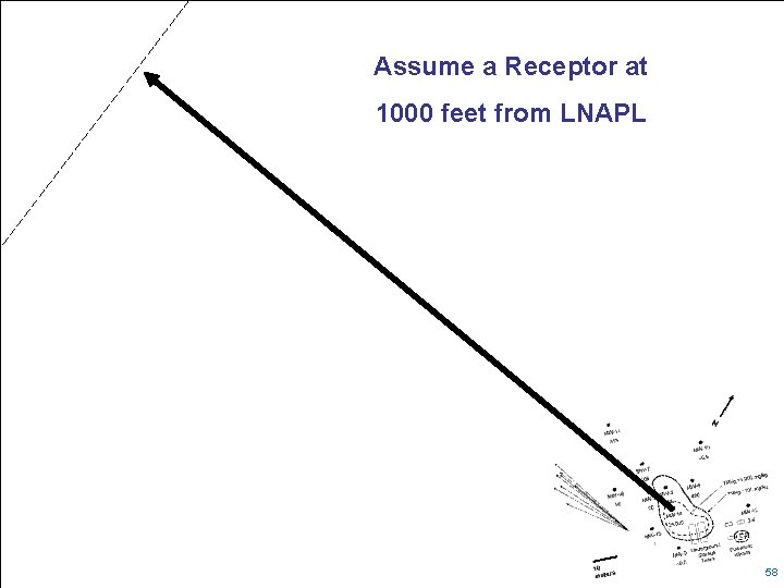 Assume a Receptor at 1000 feet from LNAPL 58 58 