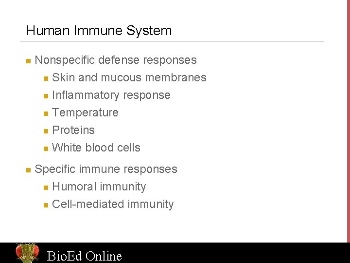 Human Immune System n Nonspecific defense responses n Skin and mucous membranes n Inflammatory