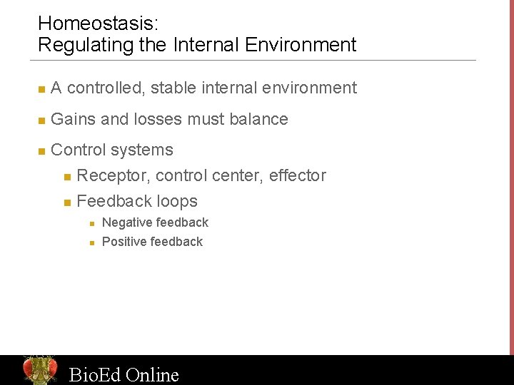 Homeostasis: Regulating the Internal Environment n A controlled, stable internal environment n Gains and