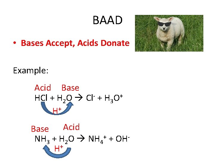 BAAD • Bases Accept, Acids Donate Example: Acid Base HCl + H 2 O