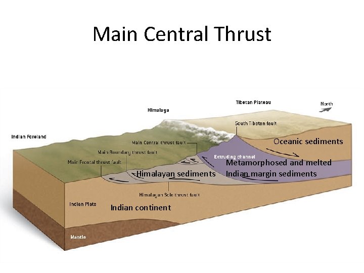 Main Central Thrust Oceanic sediments Himalayan sediments Indian continent Metamorphosed and melted Indian margin Main Central Thrust Oceanic sediments Himalayan sediments Indian continent Metamorphosed and melted Indian margin