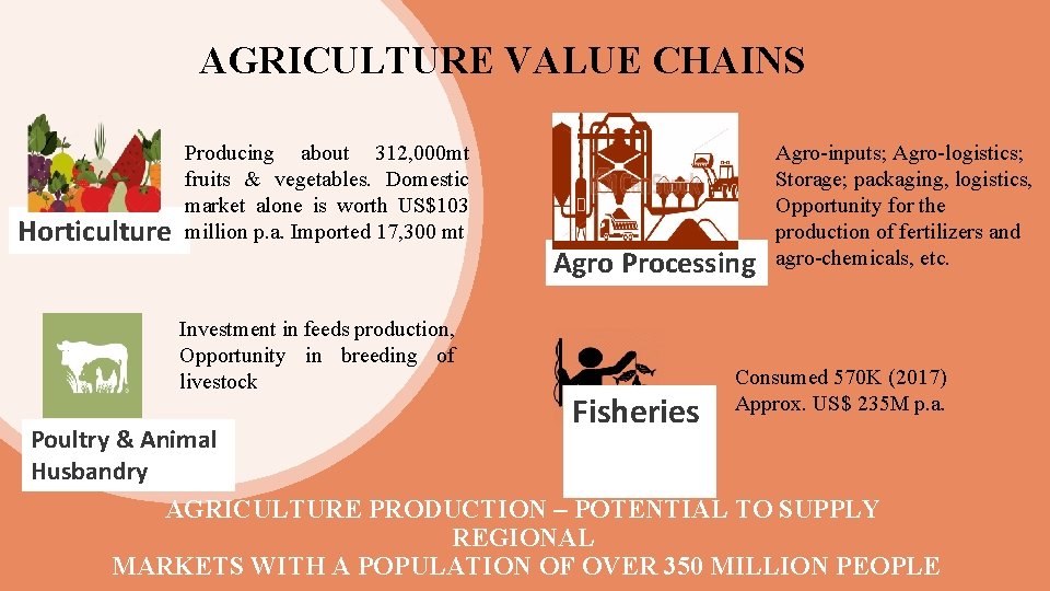 AGRICULTURE VALUE CHAINS Horticulture Producing about 312, 000 mt fruits & vegetables. Domestic market