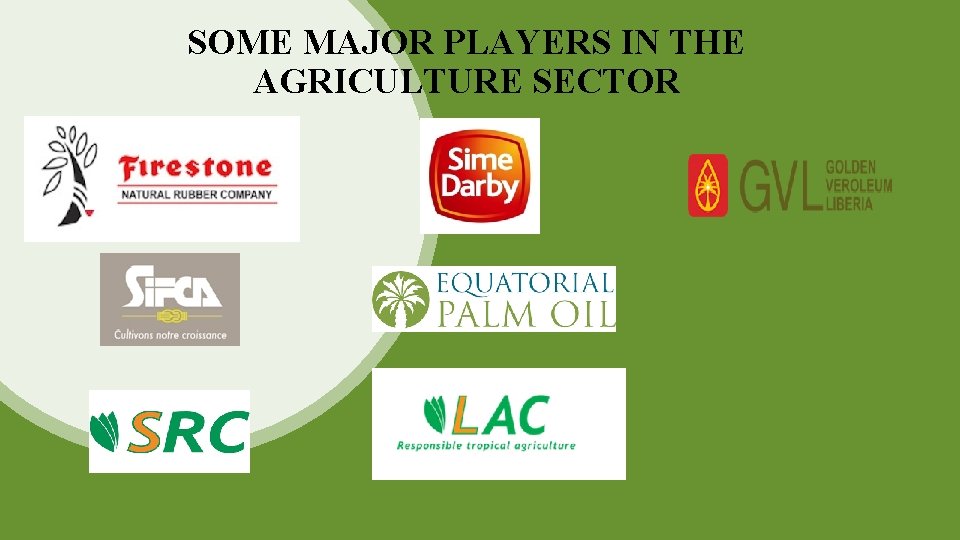 SOME MAJOR PLAYERS IN THE AGRICULTURE SECTOR 