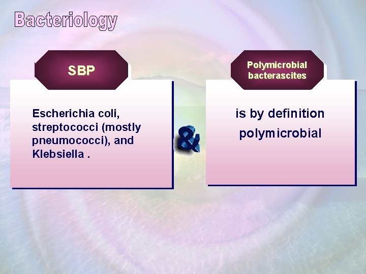 SBP Escherichia coli, streptococci (mostly pneumococci), and Klebsiella. Polymicrobial bacterascites is by definition polymicrobial
