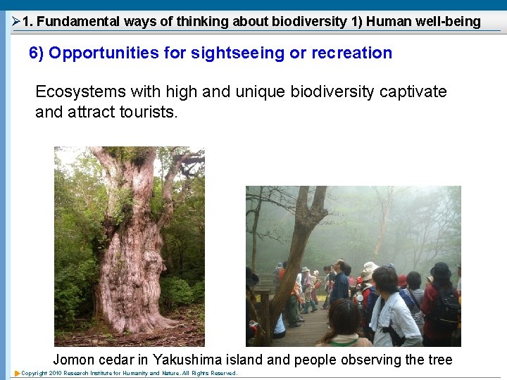 Ø 1. Fundamental ways of thinking about biodiversity 1) Human well-being 6) Opportunities for