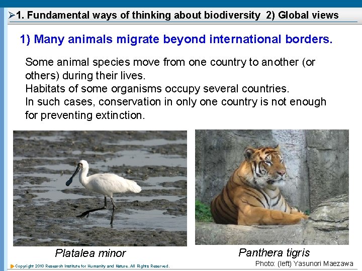 Ø 1. Fundamental ways of thinking about biodiversity 2) Global views 1) Many animals