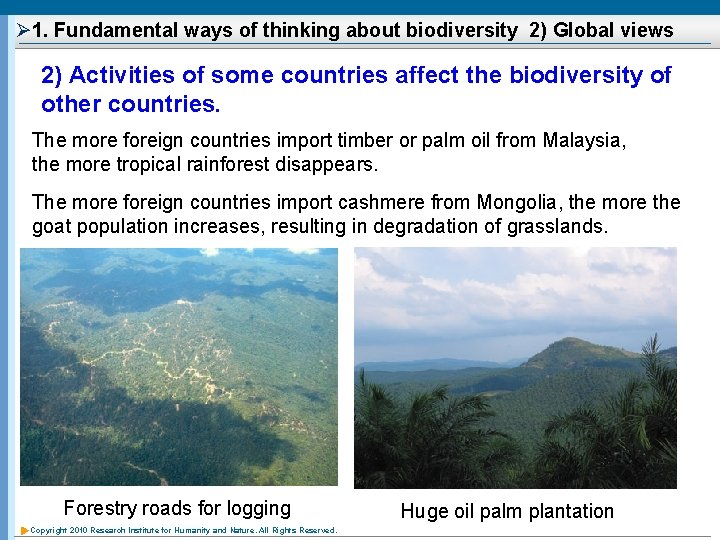 Ø 1. Fundamental ways of thinking about biodiversity 2) Global views 2) Activities of