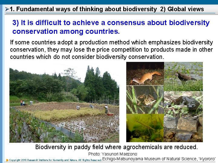 Ø 1. Fundamental ways of thinking about biodiversity 2) Global views 3) It is