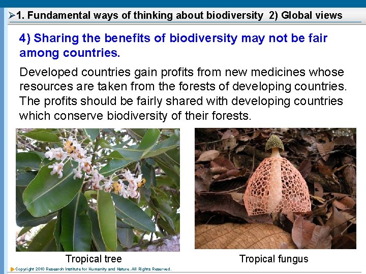 Ø 1. Fundamental ways of thinking about biodiversity 2) Global views 4) Sharing the