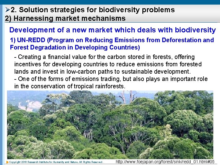 Ø 2. Solution strategies for biodiversity problems 2) Harnessing market mechanisms Development of a