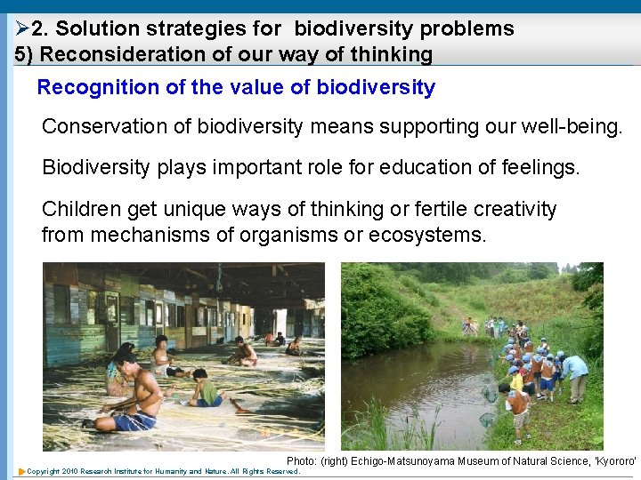 Ø 2. Solution strategies for biodiversity problems 5) Reconsideration of our way of thinking