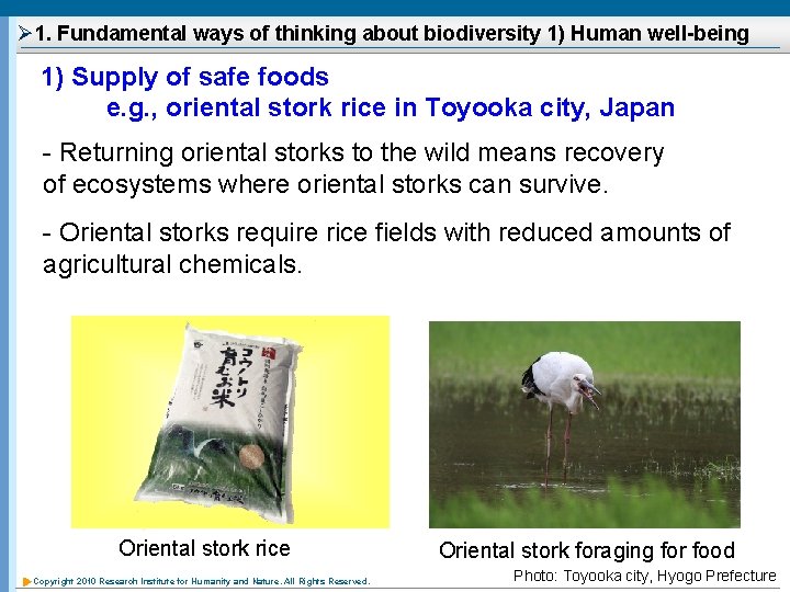 Ø 1. Fundamental ways of thinking about biodiversity 1) Human well-being 1) Supply of