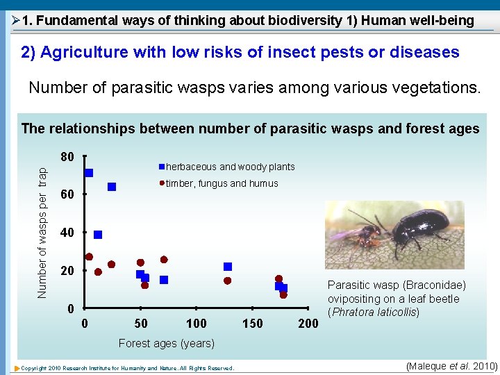 Ø 1. Fundamental ways of thinking about biodiversity 1) Human well-being 2) Agriculture with