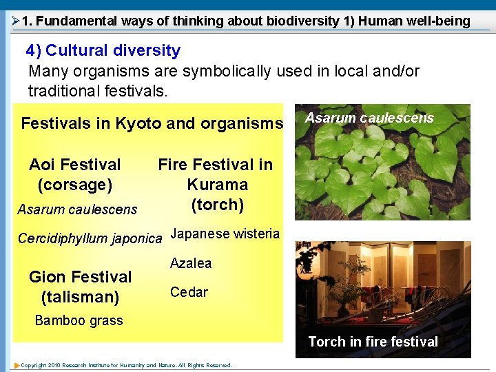 Ø 1. Fundamental ways of thinking about biodiversity 1) Human well-being 4) Cultural diversity