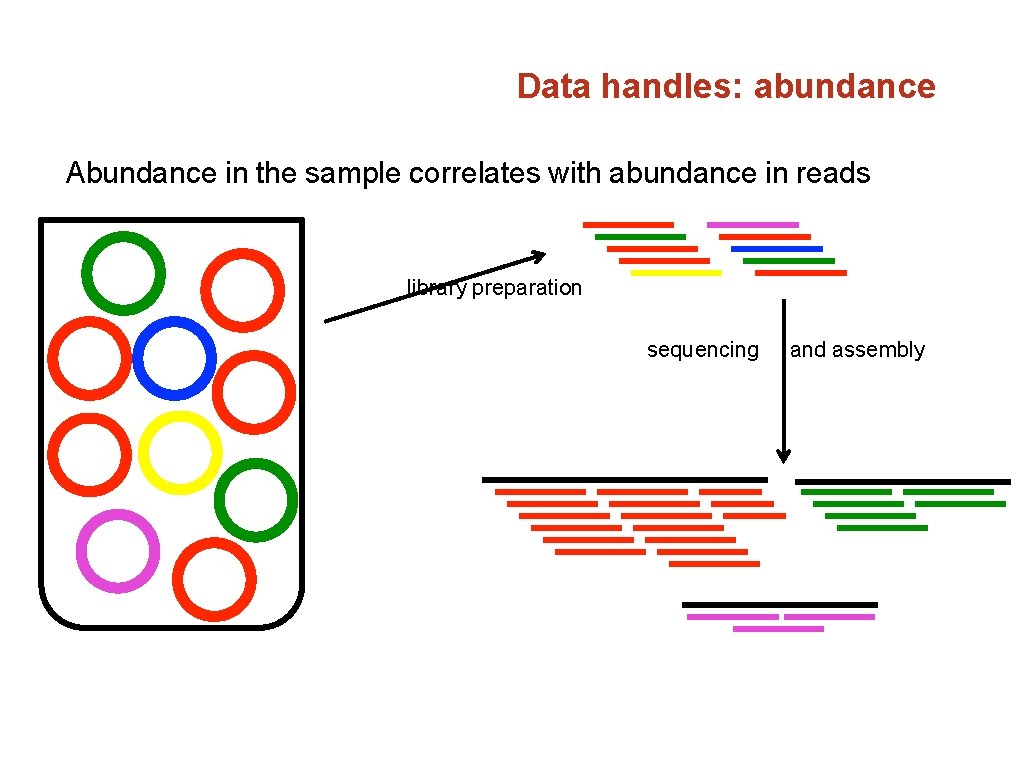 Data handles: abundance Abundance in the sample correlates with abundance in reads library preparation