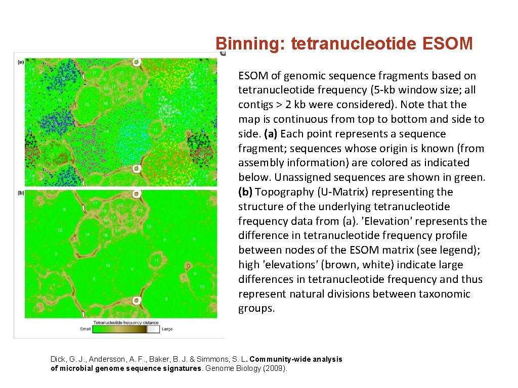 Binning: tetranucleotide ESOM of genomic sequence fragments based on tetranucleotide frequency (5 -kb window