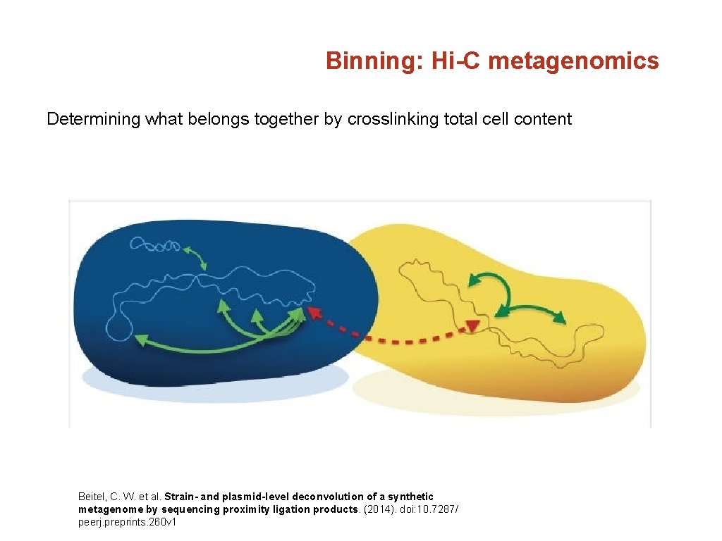 Binning: Hi-C metagenomics Determining what belongs together by crosslinking total cell content Beitel, C.