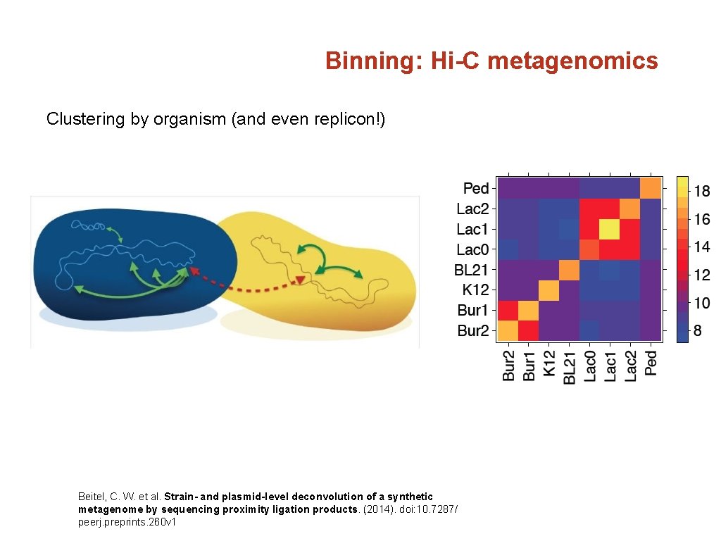 Binning: Hi-C metagenomics Clustering by organism (and even replicon!) Beitel, C. W. et al.