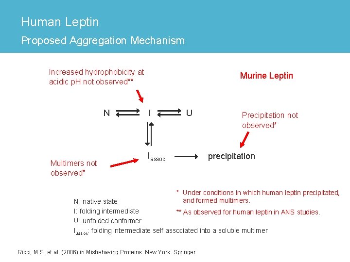 Human Leptin Proposed Aggregation Mechanism Increased hydrophobicity at acidic p. H not observed** N