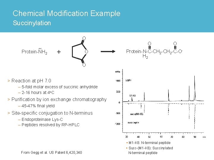Chemical Modification Example Succinylation O O Protein-NH 2 + O O Protein-N-C-CH 2 -C-OH