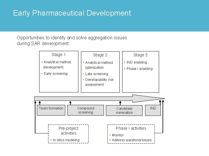 Early Pharmaceutical Development Opportunities to identify and solve aggregation issues during SAR development Stage