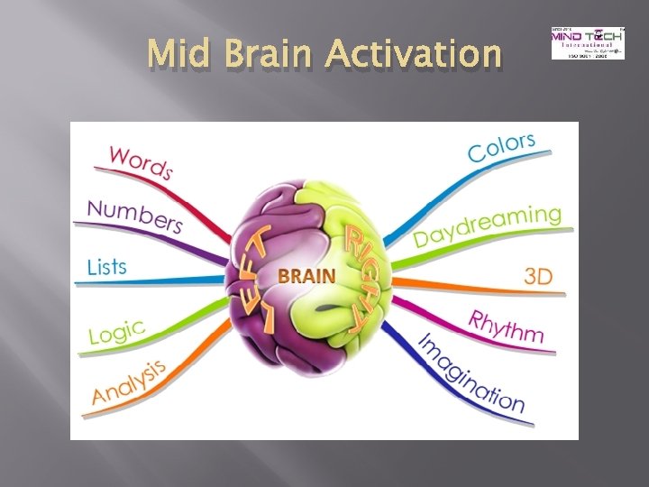 Mid Brain Activation 