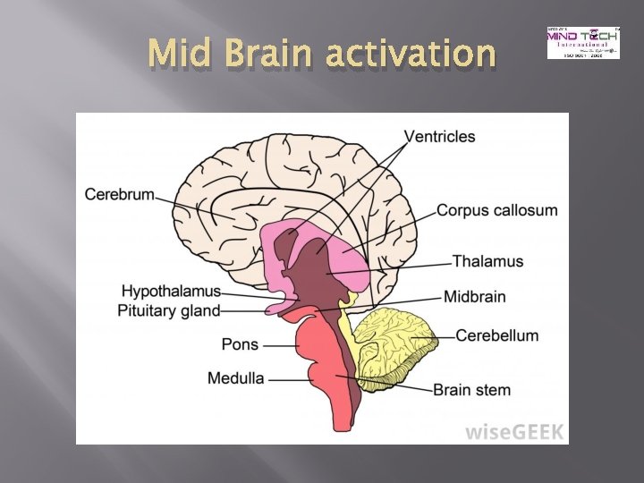 Mid Brain activation 