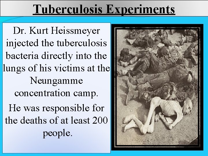 Tuberculosis Experiments Dr. Kurt Heissmeyer injected the tuberculosis bacteria directly into the lungs of