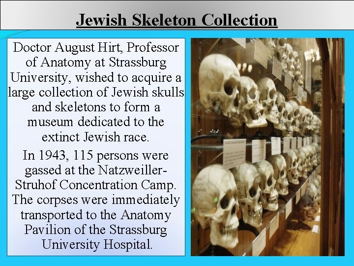 Jewish Skeleton Collection Doctor August Hirt, Professor of Anatomy at Strassburg University, wished to