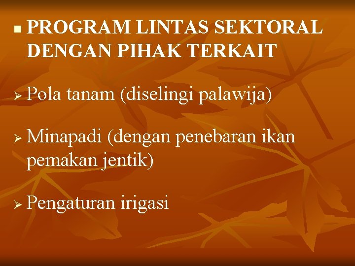 n Ø Ø Ø PROGRAM LINTAS SEKTORAL DENGAN PIHAK TERKAIT Pola tanam (diselingi palawija)