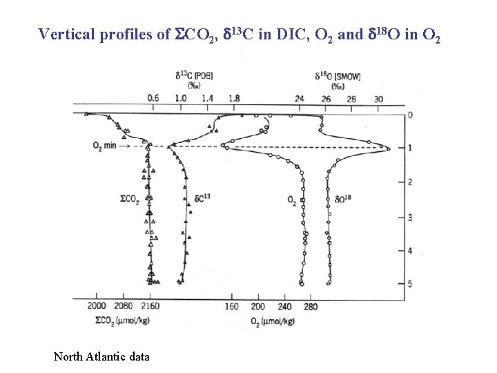Vertical profiles of SCO 2, d 13 C in DIC, O 2 and d