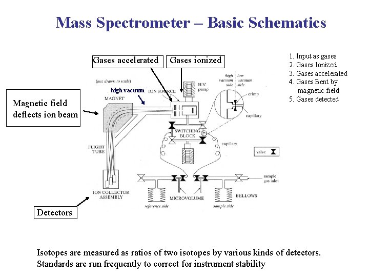 Mass Spectrometer – Basic Schematics Gases accelerated high vacuum Magnetic field deflects ion beam