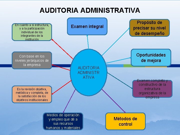 AUDITORIA ADMINISTRATIVA En cuanto a si estructura, y a la participación individual de los