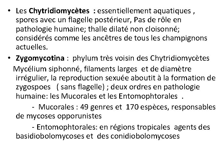  • Les Chytridiomycètes : essentiellement aquatiques , spores avec un flagelle postérieur, Pas