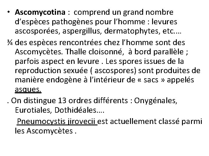  • Ascomycotina : comprend un grand nombre d’espèces pathogènes pour l’homme : levures