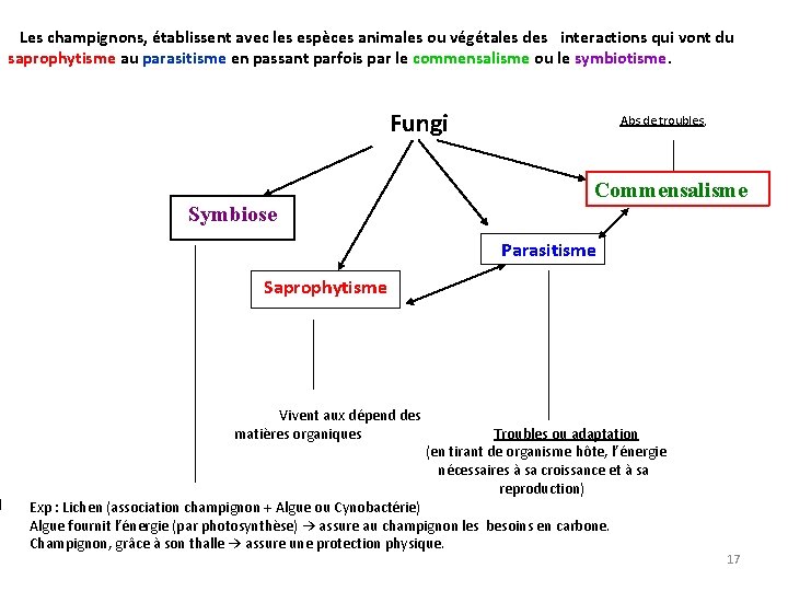  Les champignons, établissent avec les espèces animales ou végétales des interactions qui vont