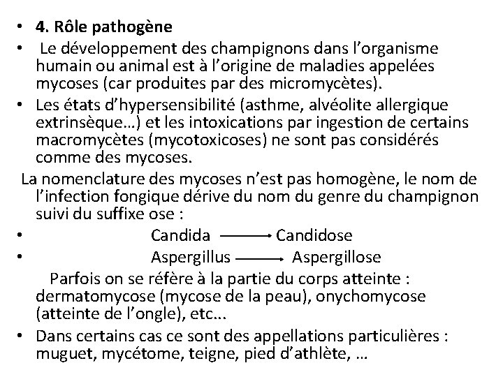  • 4. Rôle pathogène • Le développement des champignons dans l’organisme humain ou