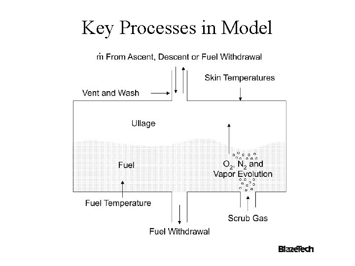 Key Processes in Model 