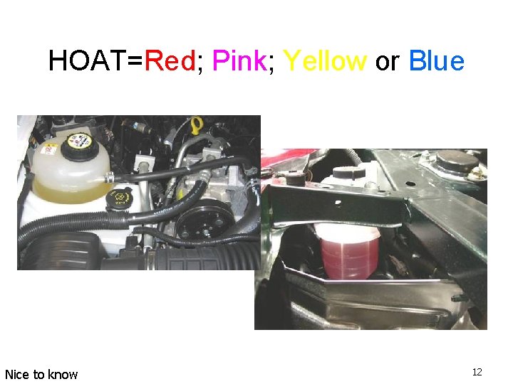 HOAT=Red; Pink; Yellow or Blue Nice to know 12 