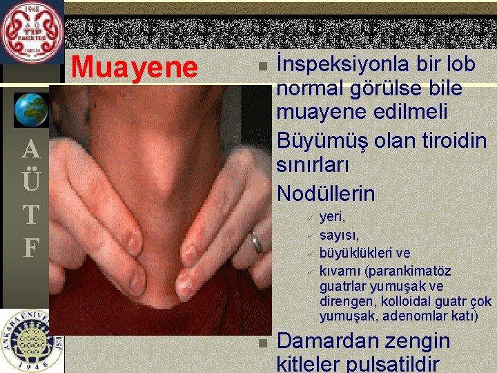 Muayene A Ü T F n n n İnspeksiyonla bir lob normal görülse bile